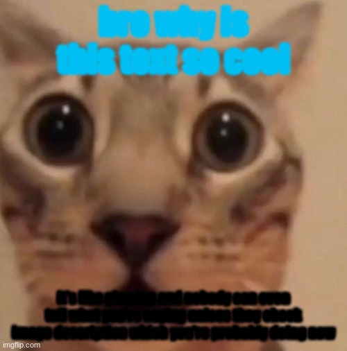 Flabbergasted cat | bro why is this text so cool; it's like glowing and nobody can even tell what you're saying unless they check image description which you're probably doing now | image tagged in flabbergasted cat | made w/ Imgflip meme maker