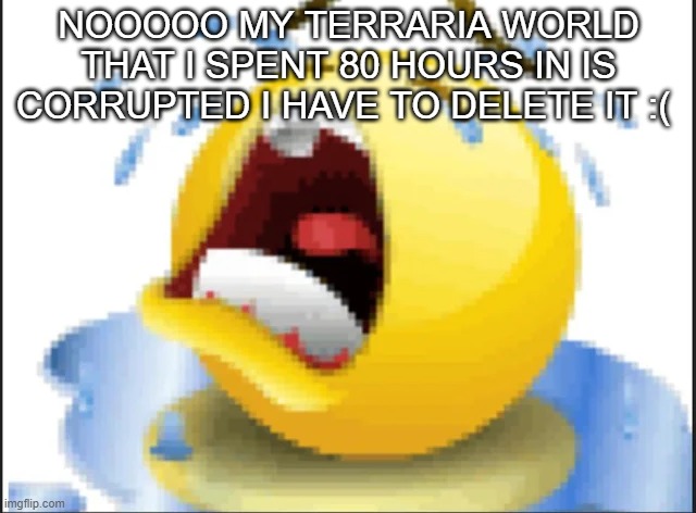 not like the biome like the world itself is fucked up and i cant progress | NOOOOO MY TERRARIA WORLD THAT I SPENT 80 HOURS IN IS CORRUPTED I HAVE TO DELETE IT :( | image tagged in low quality crying emoji | made w/ Imgflip meme maker