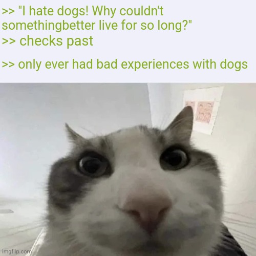 green text cat | >> "I hate dogs! Why couldn't somethingbetter live for so long?" >> checks past >> only ever had bad experiences with dogs | image tagged in green text cat | made w/ Imgflip meme maker