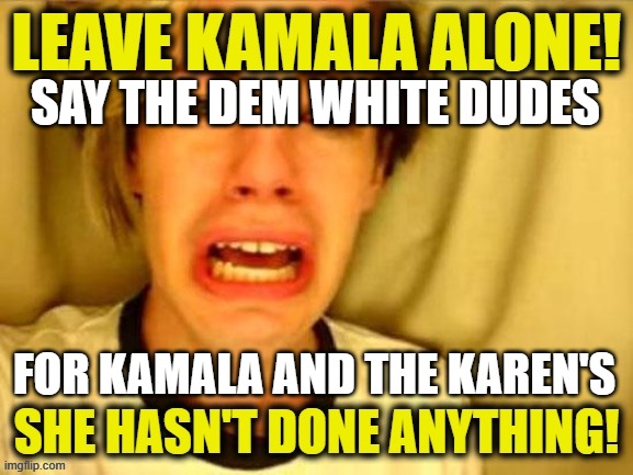 White Dudes for Kamala | SAY THE DEM WHITE DUDES; FOR KAMALA AND THE KAREN'S | image tagged in white dudes for kamala | made w/ Imgflip meme maker