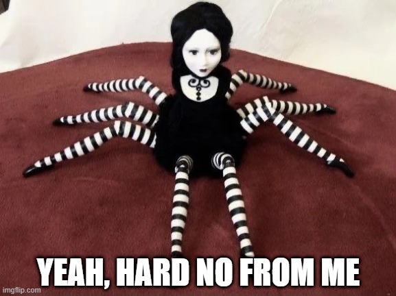 Spider Doll Gift | YEAH, HARD NO FROM ME | image tagged in cursed image | made w/ Imgflip meme maker