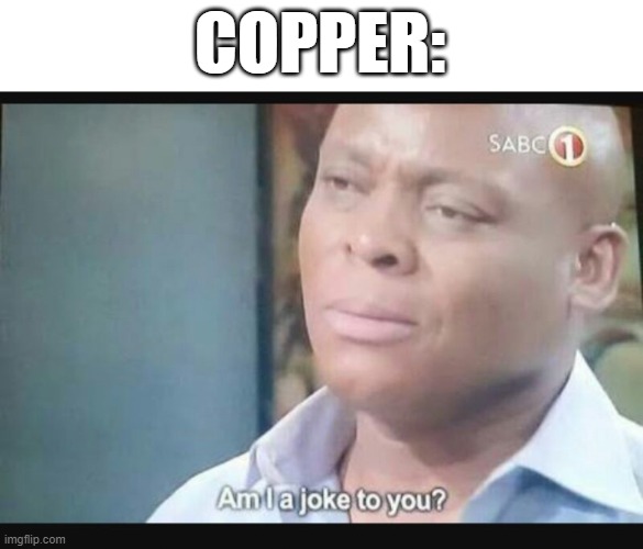 Am I a joke to you? | COPPER: | image tagged in am i a joke to you | made w/ Imgflip meme maker