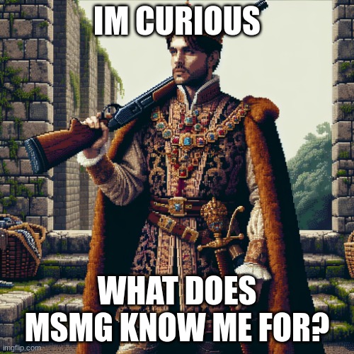 a noble, ranger | IM CURIOUS; WHAT DOES MSMG KNOW ME FOR? | image tagged in a noble ranger | made w/ Imgflip meme maker