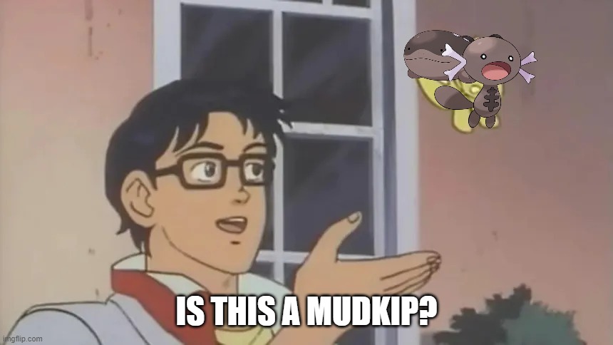 Is this a pigeon? | IS THIS A MUDKIP? | image tagged in is this a pigeon | made w/ Imgflip meme maker