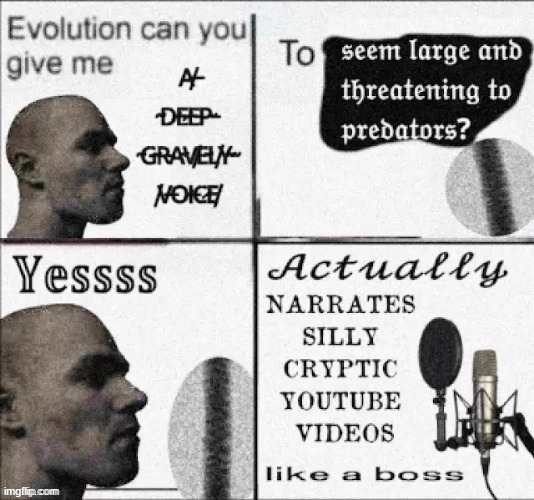 image tagged in memes | made w/ Imgflip meme maker