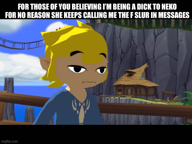 High Toon Link | FOR THOSE OF YOU BELIEVING I’M BEING A DICK TO NEKO FOR NO REASON SHE KEEPS CALLING ME THE F SLUR IN MESSAGES | image tagged in high toon link | made w/ Imgflip meme maker