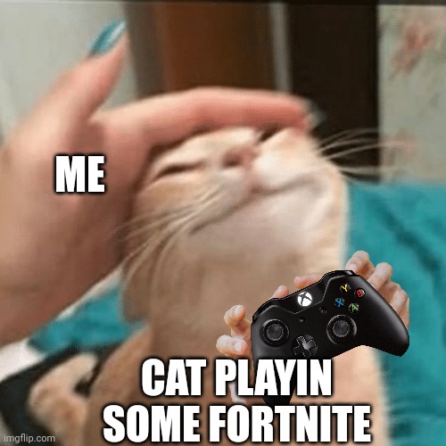 Pet the cat | ME CAT PLAYIN SOME FORTNITE | image tagged in pet the cat | made w/ Imgflip meme maker