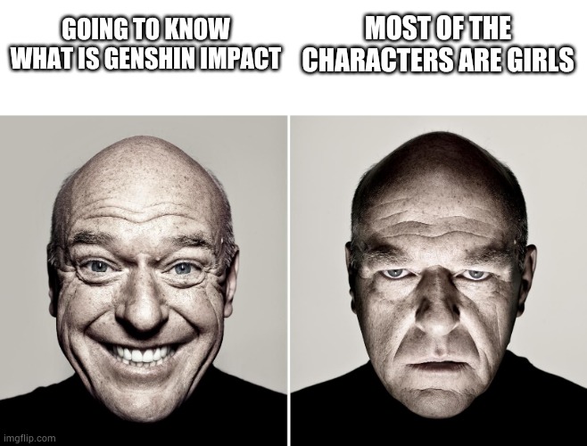 So I hate genshin impact | MOST OF THE CHARACTERS ARE GIRLS; GOING TO KNOW WHAT IS GENSHIN IMPACT | image tagged in dean norris's reaction,genshin impact,gaming | made w/ Imgflip meme maker