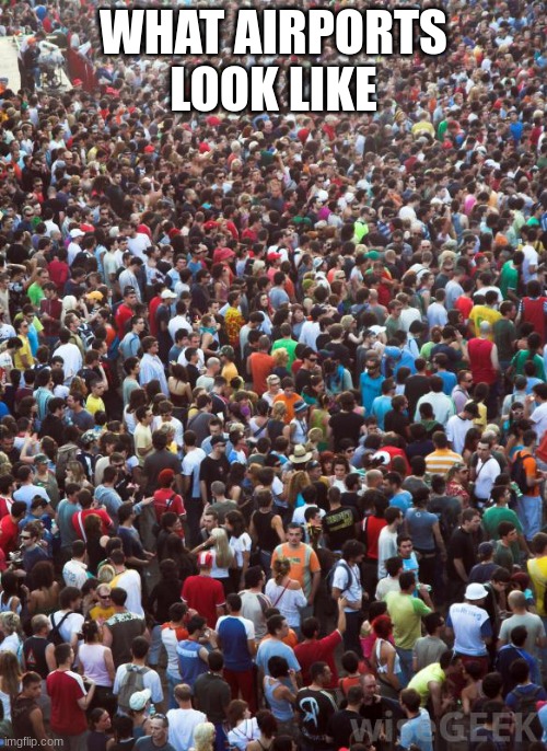 Large Crowd of People | WHAT AIRPORTS LOOK LIKE | image tagged in large crowd of people | made w/ Imgflip meme maker