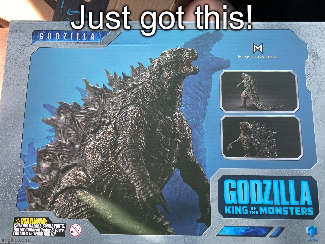 YOOOOOOOOOOOOO | Just got this! | image tagged in godzilla,yippee | made w/ Imgflip meme maker