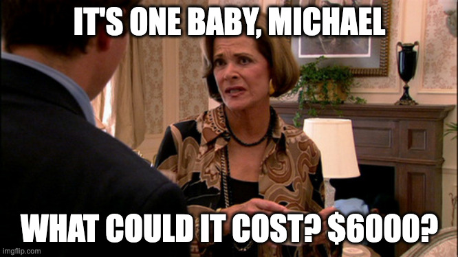 Arrested Development how much would a banana cost | IT'S ONE BABY, MICHAEL; WHAT COULD IT COST? $6000? | image tagged in arrested development how much would a banana cost | made w/ Imgflip meme maker