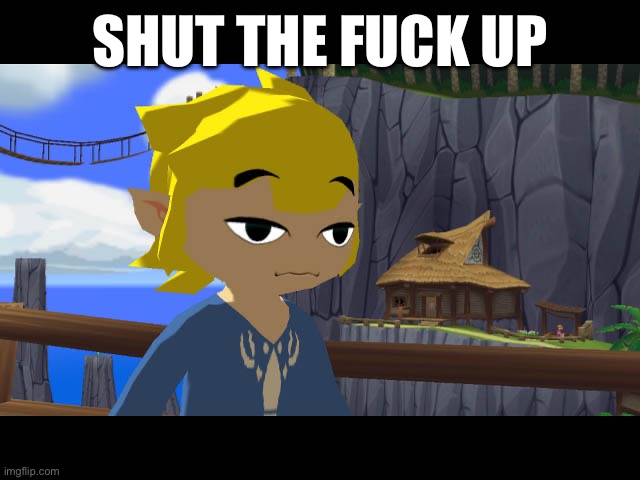 High Toon Link | SHUT THE FUCK UP | image tagged in high toon link | made w/ Imgflip meme maker