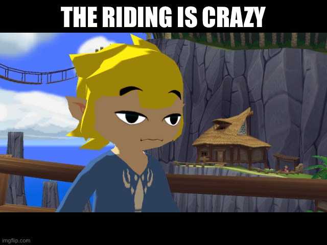 High Toon Link | THE RIDING IS CRAZY | image tagged in high toon link | made w/ Imgflip meme maker