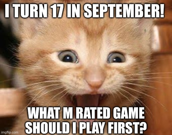 Turning 17 | I TURN 17 IN SEPTEMBER! WHAT M RATED GAME SHOULD I PLAY FIRST? | image tagged in memes,excited cat | made w/ Imgflip meme maker