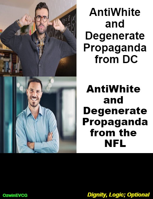 Dignity, Logic; Optional [NV] | AntiWhite 

and 

Degenerate 

Propaganda 

from DC; AntiWhite 

and 

 Degenerate 

 Propaganda 

from the 

NFL; Dignity, Logic; Optional; OzwinEVCG | image tagged in drake hotline bling,antiwhitism,degeneracy,white people,government corruption,pro sports | made w/ Imgflip meme maker