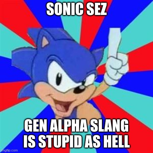 Sonic sez | SONIC SEZ; GEN ALPHA SLANG IS STUPID AS HELL | image tagged in sonic sez | made w/ Imgflip meme maker