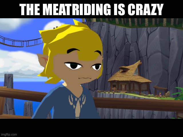 High Toon Link | THE MEATRIDING IS CRAZY | image tagged in high toon link | made w/ Imgflip meme maker