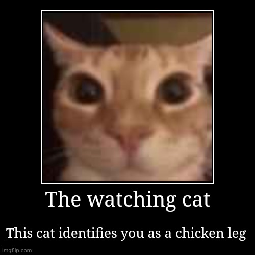 Cat is watching you | The watching cat | This cat identifies you as a chicken leg | image tagged in funny,demotivationals,cats,cat,memes,joke | made w/ Imgflip demotivational maker