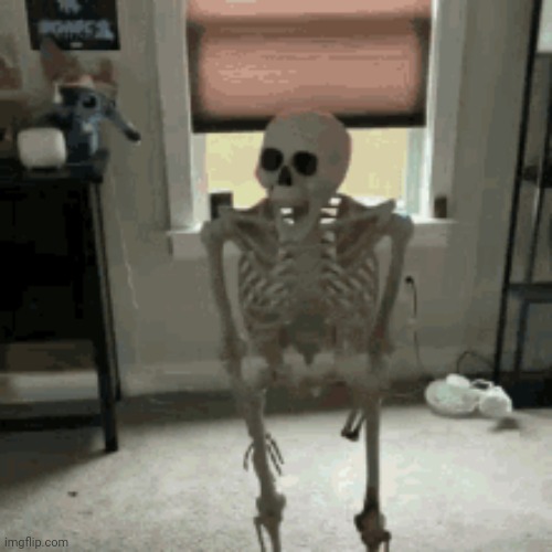 Shocked skeleton falling | image tagged in shocked skeleton falling | made w/ Imgflip meme maker