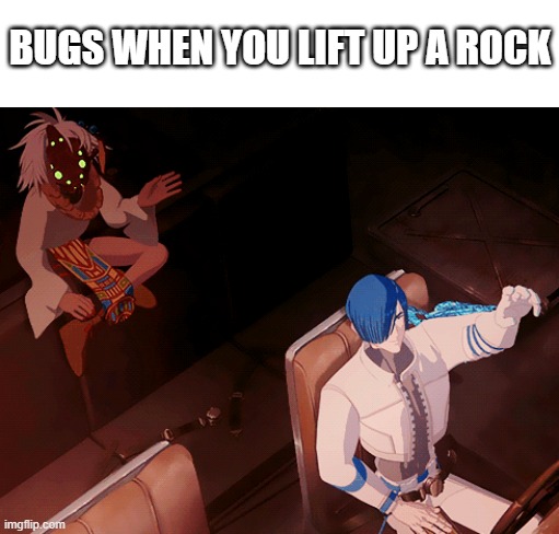 BUGS WHEN YOU LIFT UP A ROCK | made w/ Imgflip meme maker