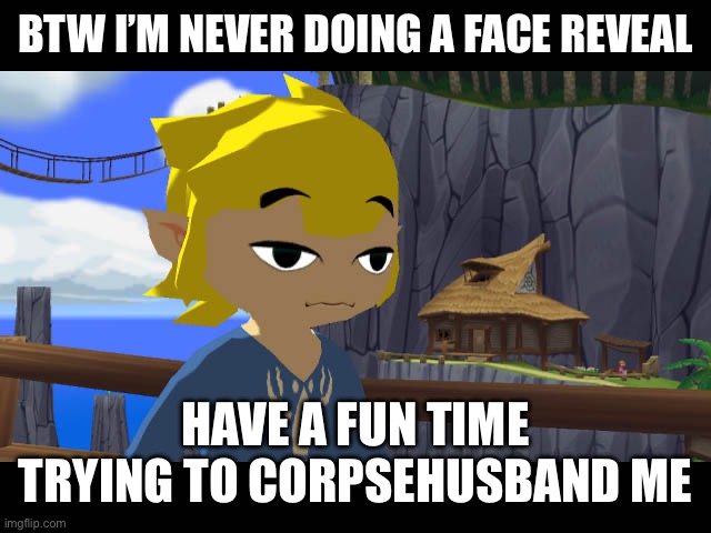 High Toon Link | BTW I’M NEVER DOING A FACE REVEAL; HAVE A FUN TIME TRYING TO CORPSEHUSBAND ME | image tagged in high toon link | made w/ Imgflip meme maker