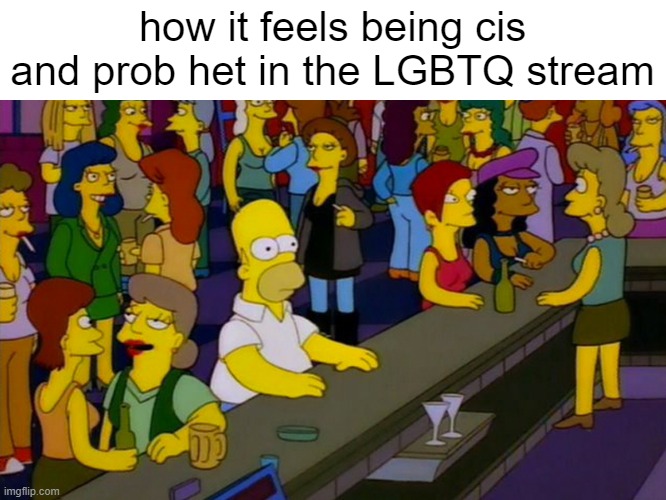 Homer Simpsons in bar | how it feels being cis and prob het in the LGBTQ stream | image tagged in homer simpsons in bar | made w/ Imgflip meme maker