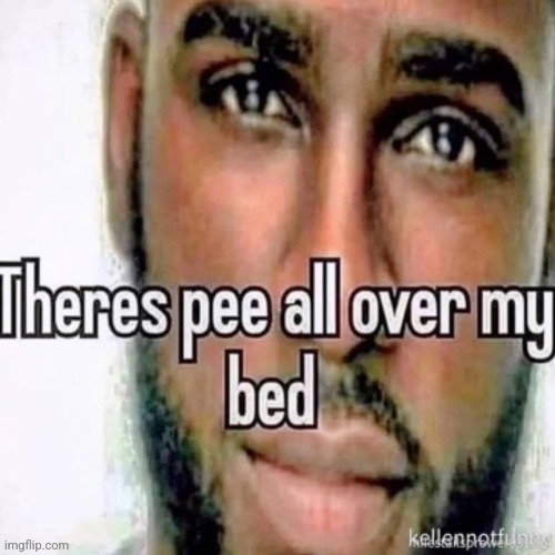 Theres pee all over my bed | image tagged in theres pee all over my bed | made w/ Imgflip meme maker