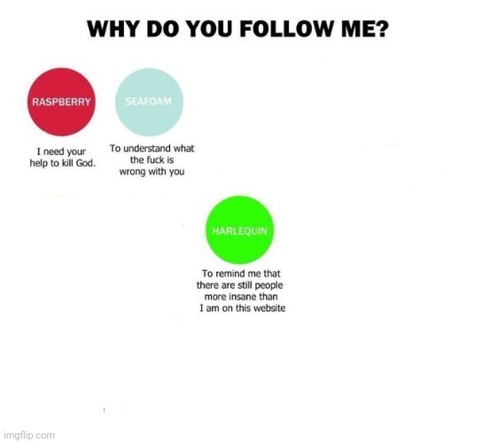 ths 3 options | image tagged in why do you follow me | made w/ Imgflip meme maker