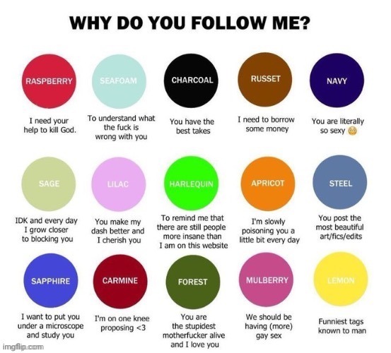 To the two people that follow | image tagged in why do you follow me,msmg | made w/ Imgflip meme maker