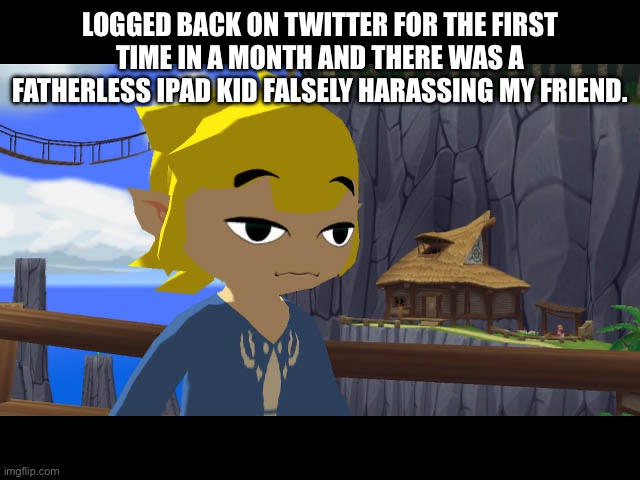 High Toon Link | LOGGED BACK ON TWITTER FOR THE FIRST TIME IN A MONTH AND THERE WAS A FATHERLESS IPAD KID FALSELY HARASSING MY FRIEND. | image tagged in high toon link | made w/ Imgflip meme maker