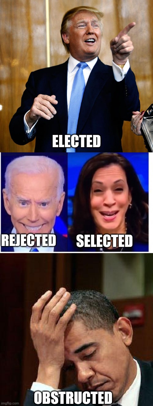 When it's easier in pic form | ELECTED; SELECTED; REJECTED; OBSTRUCTED | image tagged in donal trump birthday,biden harris,obama facepalm 250px | made w/ Imgflip meme maker