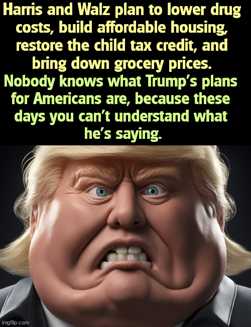 Have you noticed Trump slurs his speech and his "esses" come out funny? His teeth are migrating. | Harris and Walz plan to lower drug 
costs, build affordable housing, 
restore the child tax credit, and 
bring down grocery prices. Nobody knows what Trump's plans 
for Americans are, because these 
days you can't understand what 
he's saying. | image tagged in kamala harris,plans,middle class,trump,crazy | made w/ Imgflip meme maker