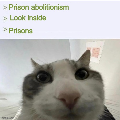 Cat looks inside | Prison abolitionism; Look inside; Prisons | image tagged in cat looks inside | made w/ Imgflip meme maker
