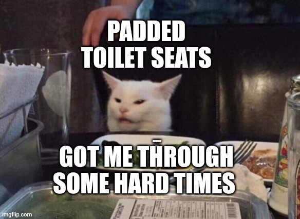 Smudge that darn cat | PADDED TOILET SEATS; GOT ME THROUGH SOME HARD TIMES | image tagged in smudge that darn cat | made w/ Imgflip meme maker