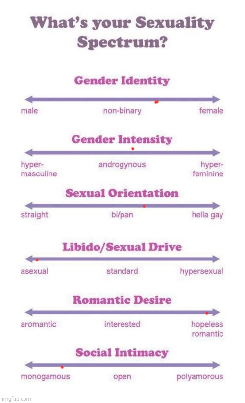 full explanation shall be given tomorrow | image tagged in what's your sexuality spectrum | made w/ Imgflip meme maker