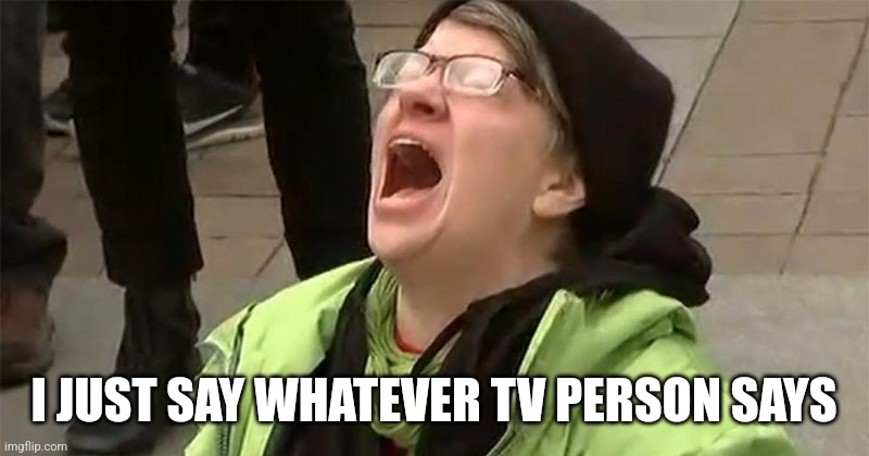 crying liberal | I JUST SAY WHATEVER TV PERSON SAYS | image tagged in crying liberal | made w/ Imgflip meme maker