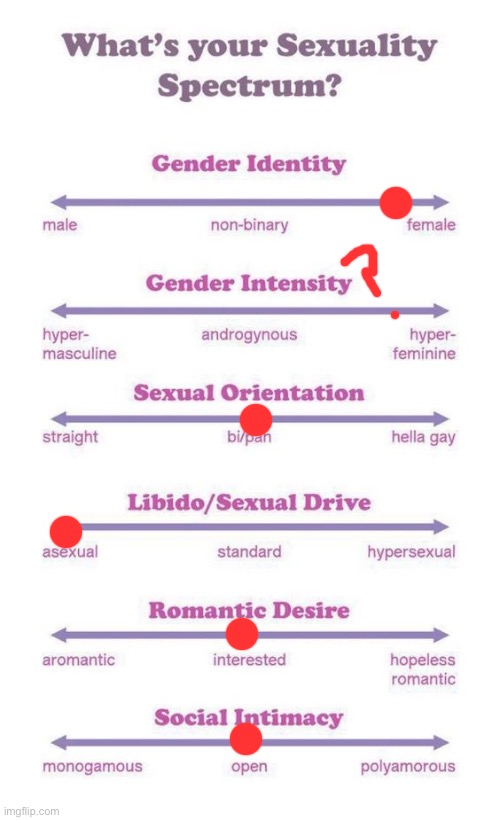 What's your sexuality spectrum? | image tagged in what's your sexuality spectrum | made w/ Imgflip meme maker