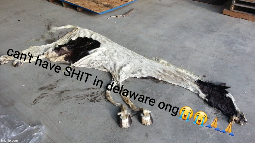 e | can't have SHIT in delaware ong😭😭🙏🙏 | made w/ Imgflip meme maker
