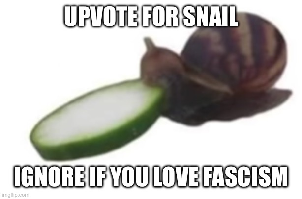 Upvote for snail | UPVOTE FOR SNAIL; IGNORE IF YOU LOVE FASCISM | image tagged in upvote | made w/ Imgflip meme maker