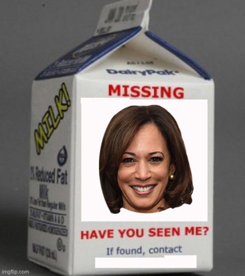 Milk carton | image tagged in milk carton | made w/ Imgflip meme maker