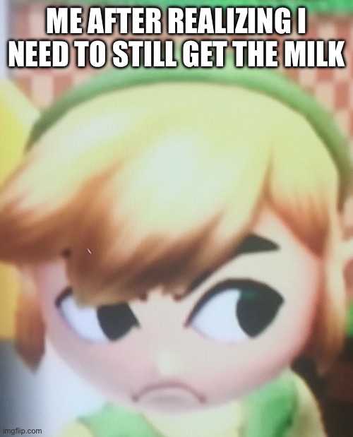 Toon link mad | ME AFTER REALIZING I NEED TO STILL GET THE MILK | image tagged in toon link mad | made w/ Imgflip meme maker