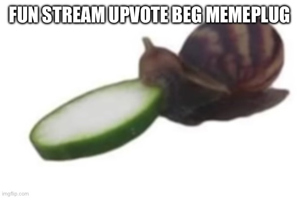 FUN STREAM UPVOTE BEG MEMEPLUG | made w/ Imgflip meme maker