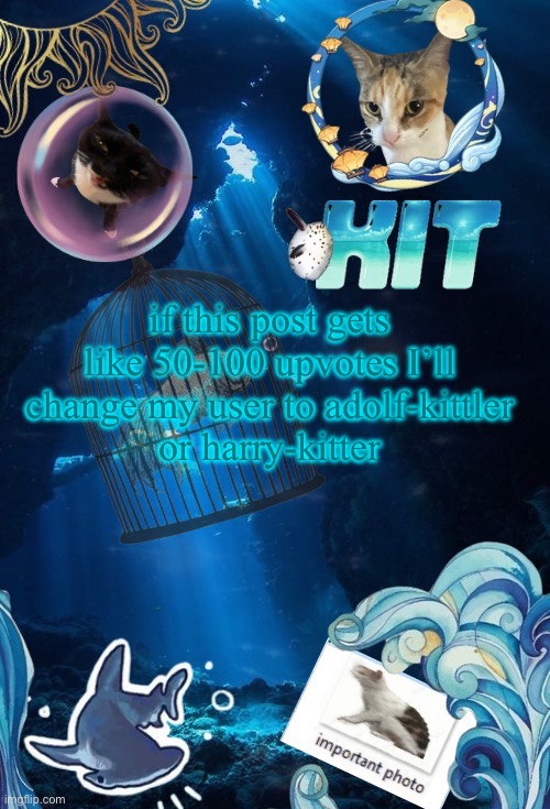 silly announcement template by asriel | if this post gets like 50-100 upvotes I’ll change my user to adolf-kittler
or harry-kitter | image tagged in silly announcement template by asriel | made w/ Imgflip meme maker