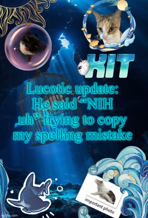 silly announcement template by asriel | Lucotic update:
He said “NIH uh” trying to copy my spelling mistake | image tagged in silly announcement template by asriel | made w/ Imgflip meme maker