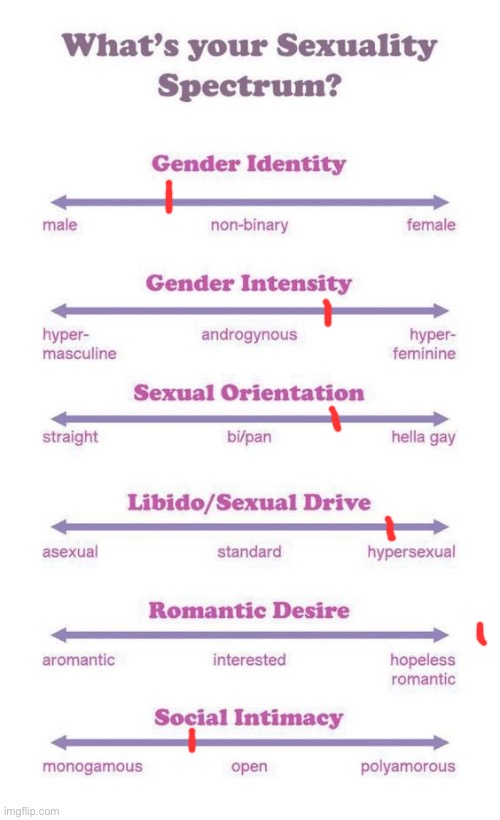 Tbh, I feel like ending some of these relationships… | image tagged in what's your sexuality spectrum | made w/ Imgflip meme maker