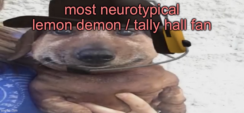 chucklenuts | most neurotypical lemon demon / tally hall fan | image tagged in chucklenuts | made w/ Imgflip meme maker