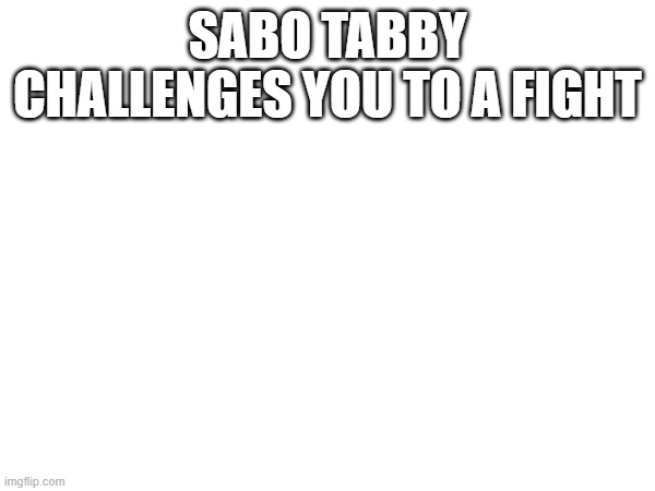 SABO TABBY CHALLENGES YOU TO A FIGHT | made w/ Imgflip meme maker