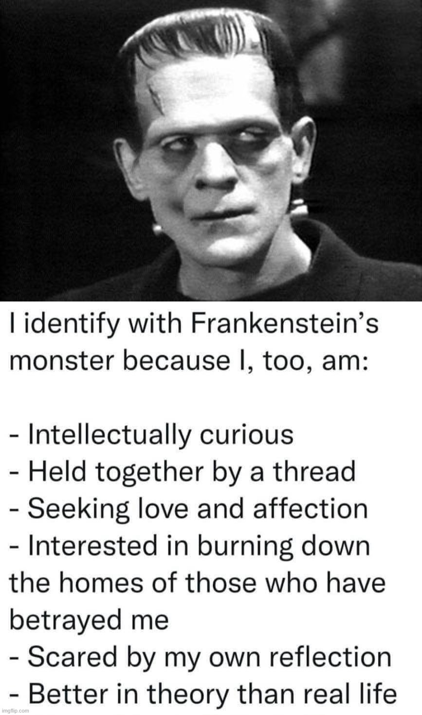 I am the monster | image tagged in frankenstein | made w/ Imgflip meme maker