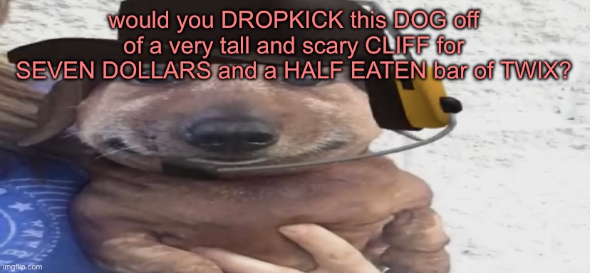 chucklenuts | would you DROPKICK this DOG off of a very tall and scary CLIFF for SEVEN DOLLARS and a HALF EATEN bar of TWIX? | image tagged in chucklenuts | made w/ Imgflip meme maker