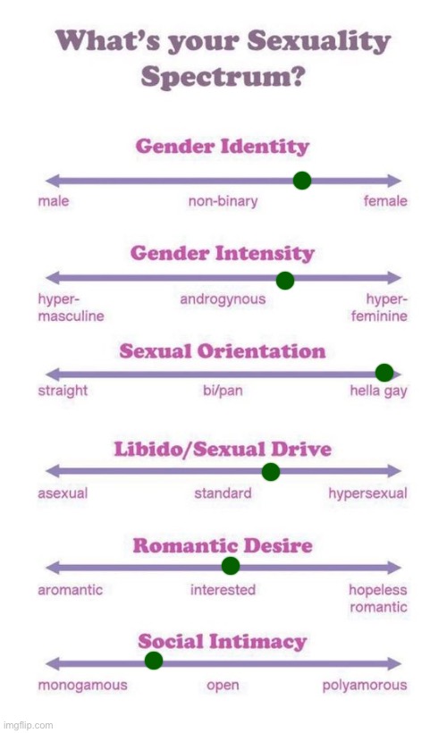 Haven’t posted in a lil bit, how y’all doin | image tagged in what's your sexuality spectrum | made w/ Imgflip meme maker